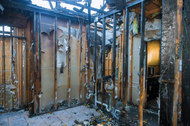 Professional Fire Damage Removal technician working in Woodbury Heights, NJ