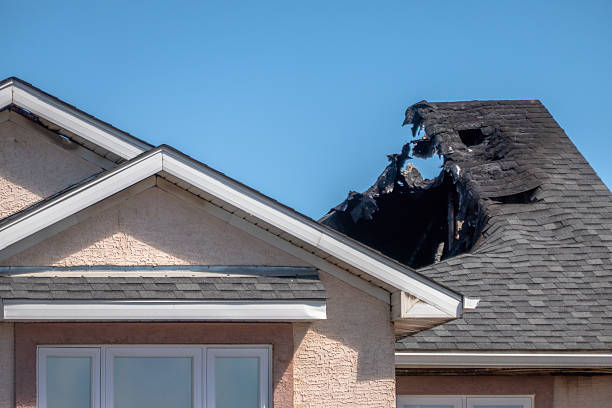 Top rated local Fire Damage Removal specialists in Woodbury Heights, NJ
